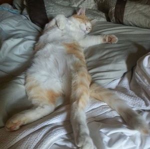 Meet your Posher, Madison